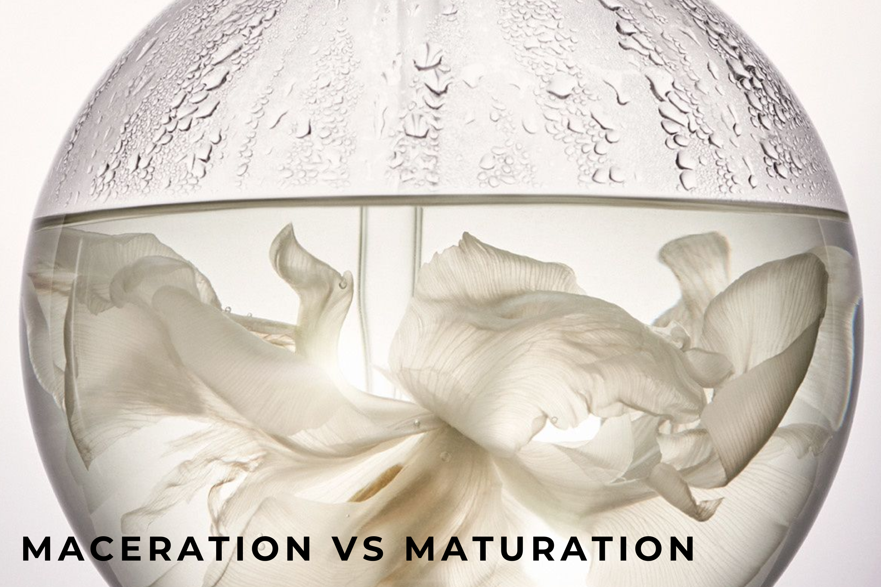 The Chemistry of Maceration vs. Maturation