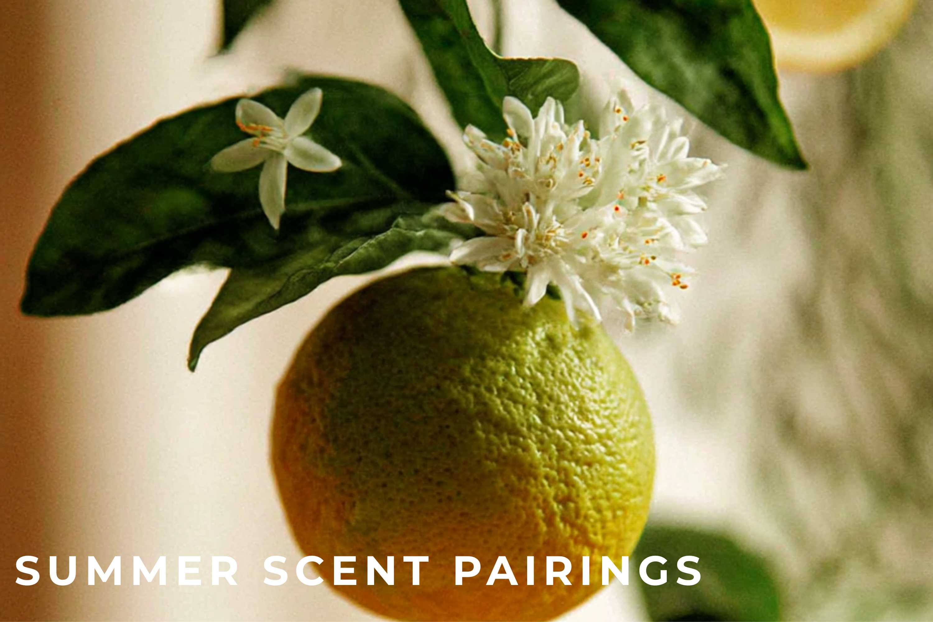 The Art Of Summer Fragrance Layering