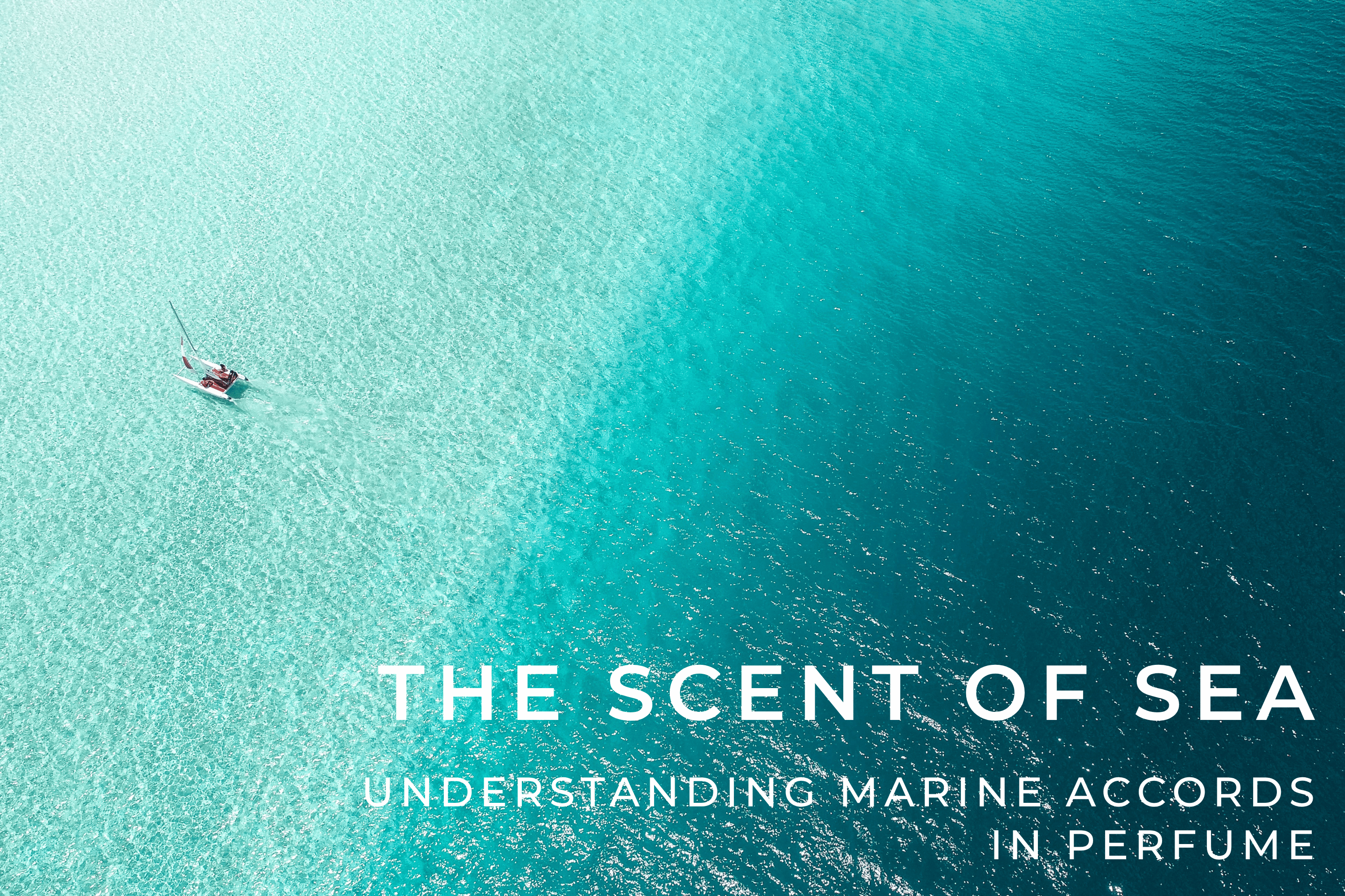 What Do Marine Accords Smell Like? A Journey Through Saltchuck & Amberchuck