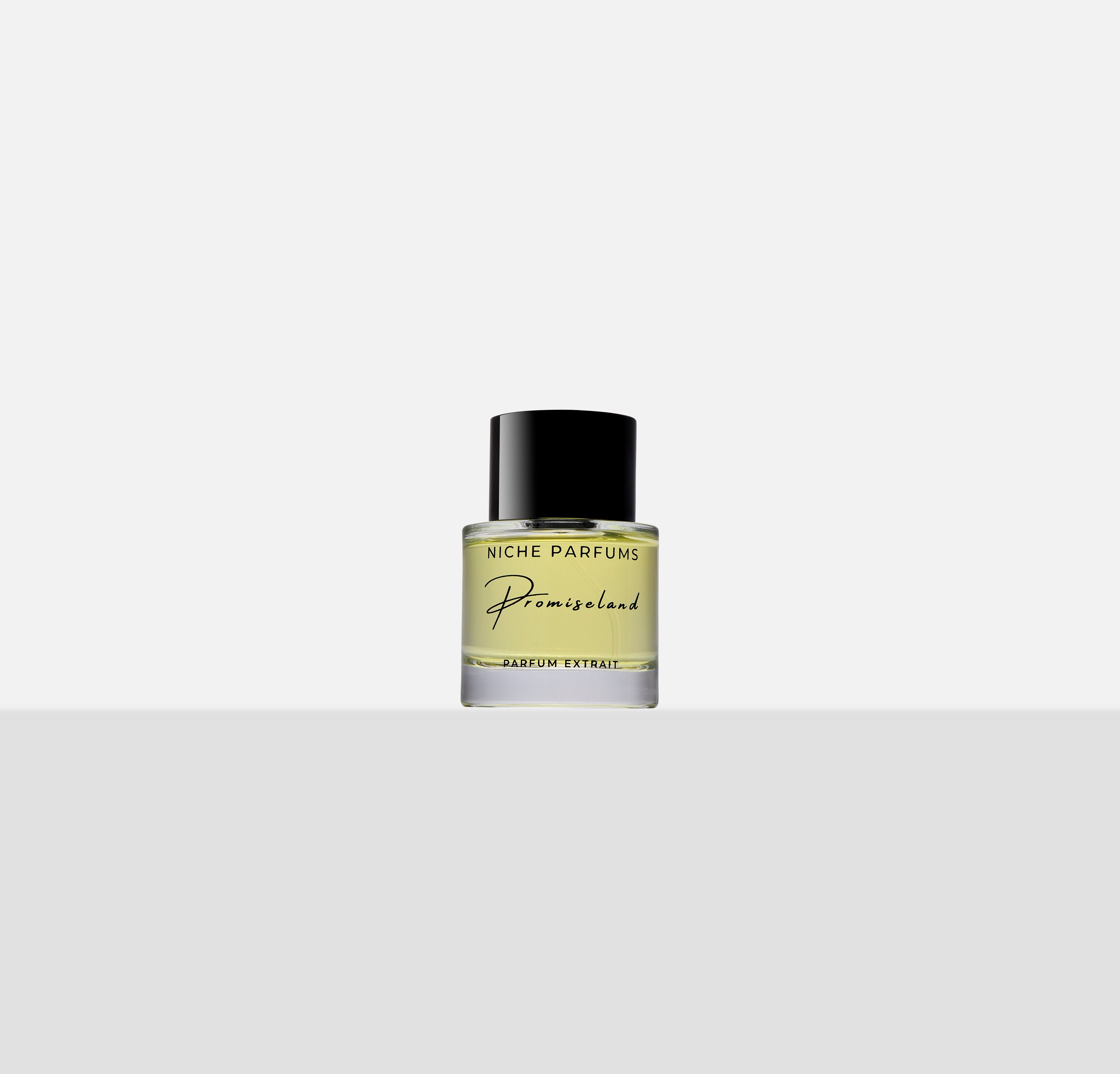 Promiseland Extrait
